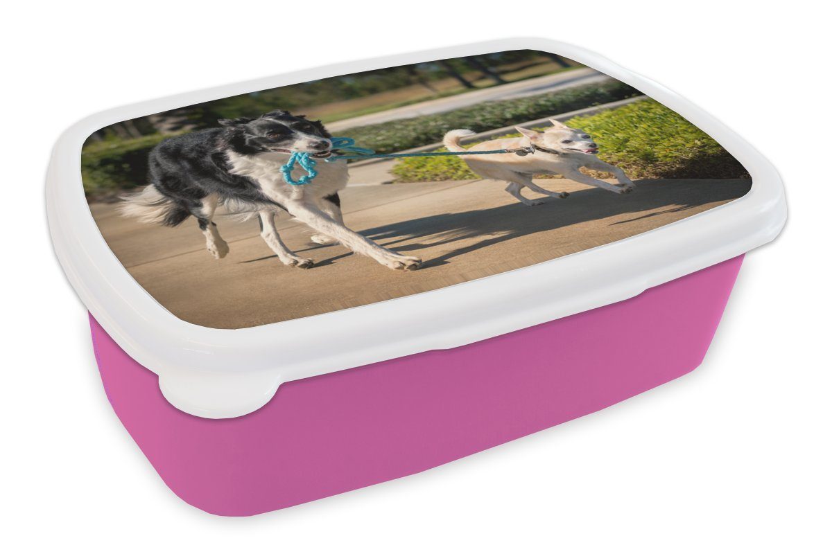 MuchoWow Lunchbox Hund - Seil - Park, Kunststoff, (2-tlg), Brotbox für Erwachsene, Brotdose Kinder, Snackbox, Mädchen, Kunststoff rosa