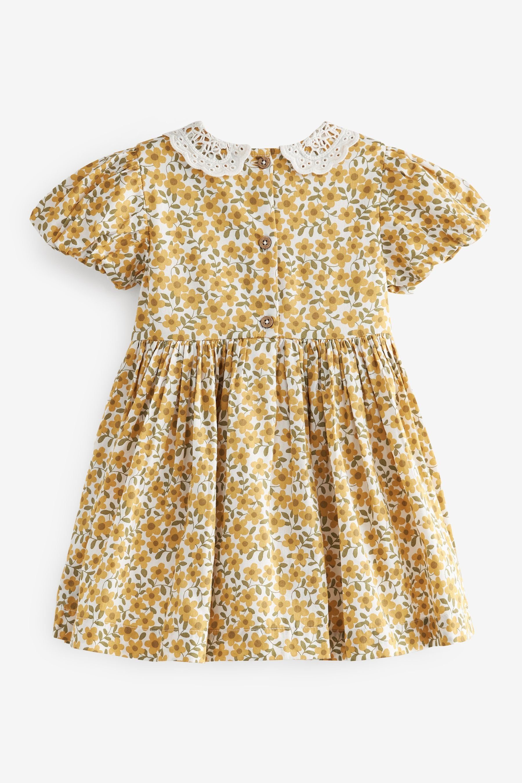 Next Sommerkleid Baumwollkleid mit Floral und (1-tlg) Spitzenkragen Ochre Yellow Raffdetail