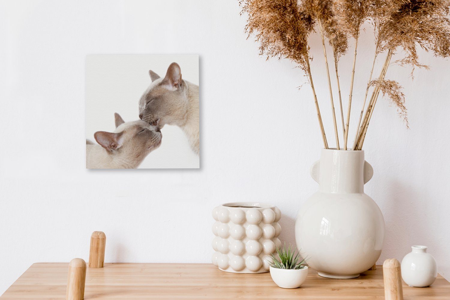 kuscheln, Bilder Katzen burmesische Leinwandbild OneMillionCanvasses® süße Leinwand St), Zwei für Schlafzimmer (1 Wohnzimmer