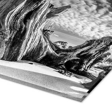 Posterlounge Acrylglasbild Sascha Kilmer, Ostseestrand mit alter Baumwurzel (schwarz weiß), Badezimmer Maritim Fotografie