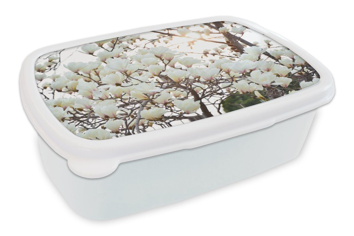 Weiße in Kinder Blüte, MuchoWow für Kunststoff, Erwachsene, Brotdose, (2-tlg), Magnolienblüten voller Lunchbox Jungs für und Mädchen und Brotbox