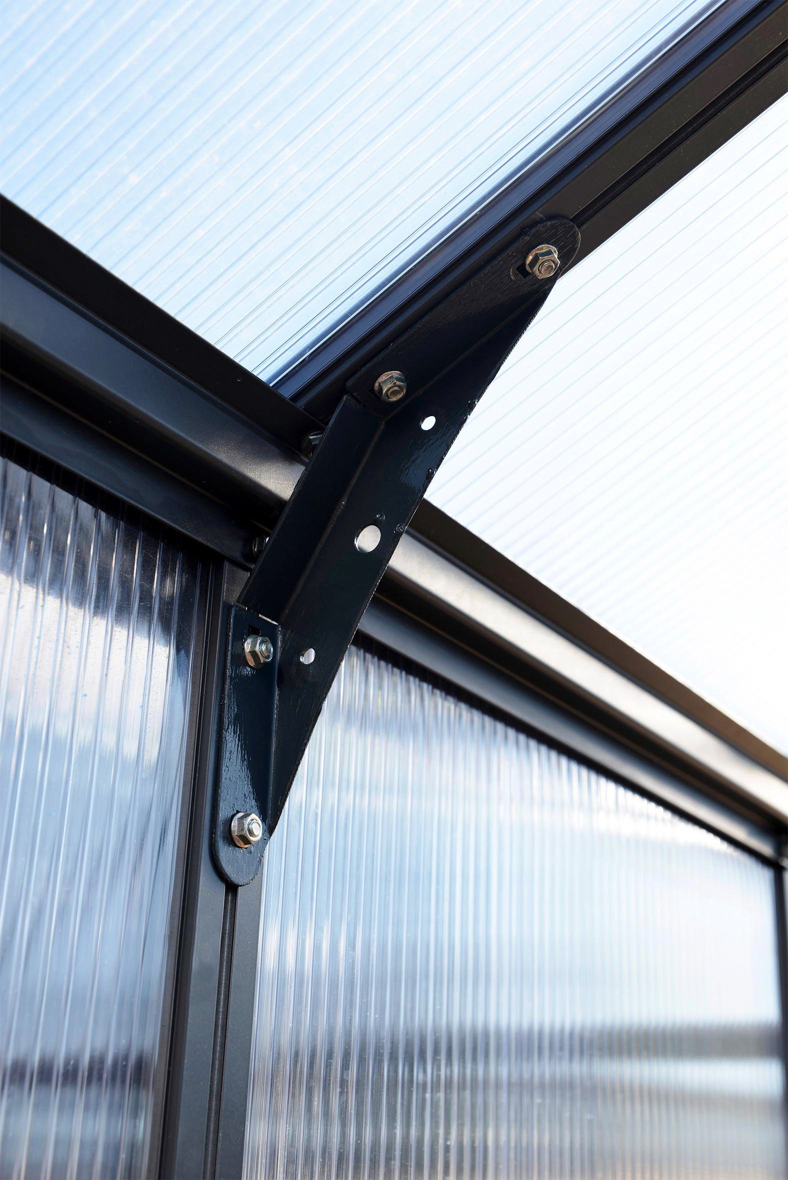 Palram - Canopia Gewächshaus Glory 8x20...