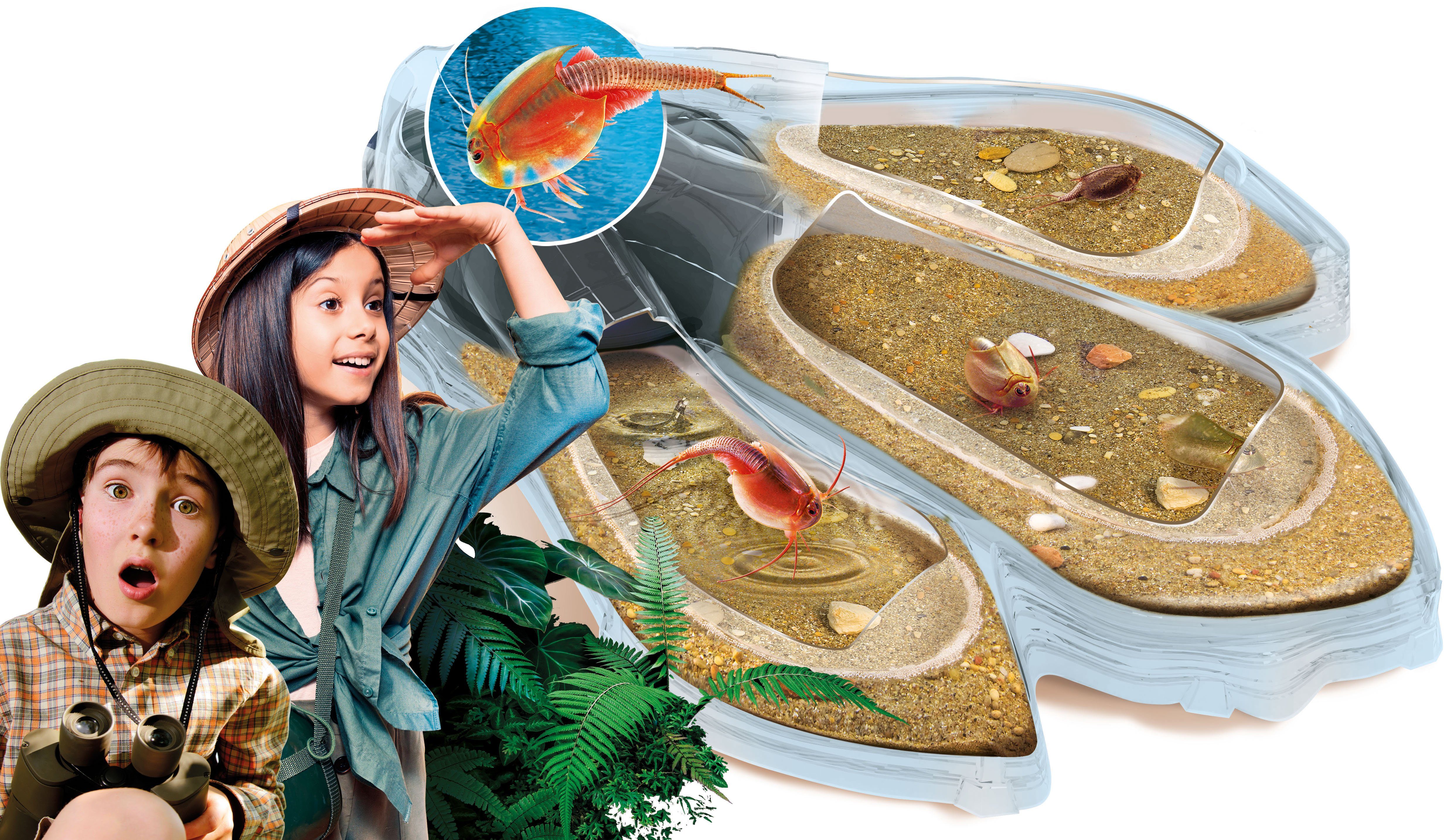 Clementoni® Experimentierkasten Galileo, Original Triops Maxi de Luxe, Made in Europe