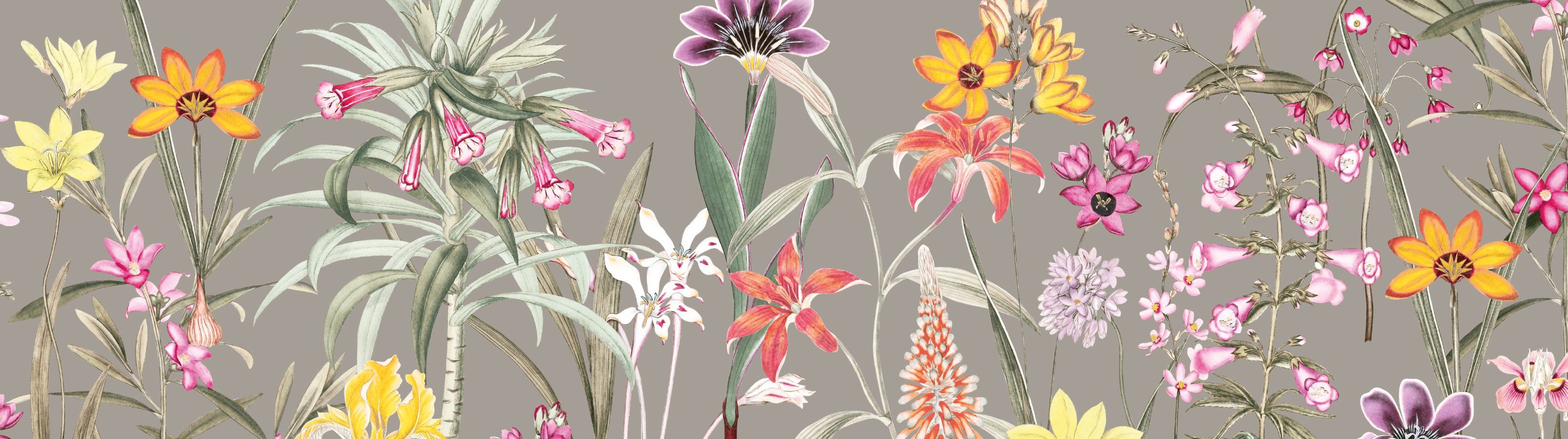 Botanical anna wand Blumen floral, - selbstklebend, Bordüre - Garden selbstklebend mehrfarbig/taupe /