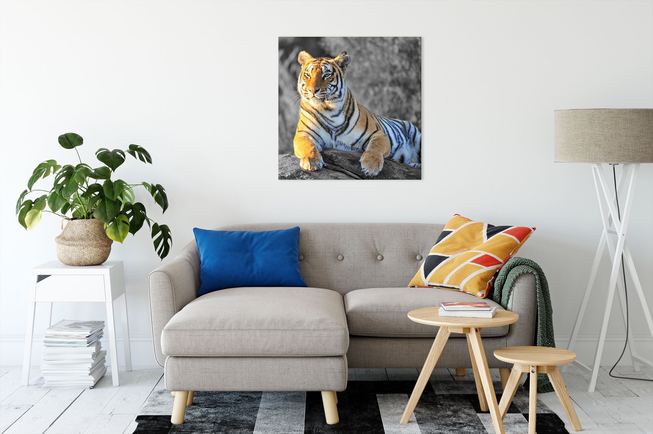 Pixxprint Leinwandbild wunderschöner St), Zackenaufhänger wunderschöner Leinwandbild fertig Tiger, inkl. Tiger (1 stolzer stolzer bespannt