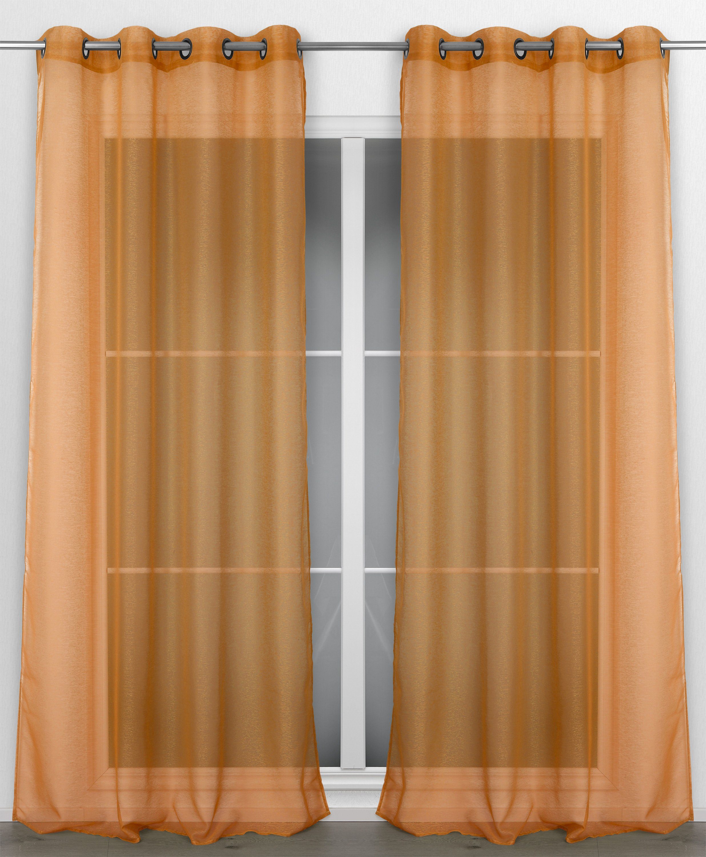 Beautex Gardine Transparente Gardine Dolly, wählbar mit Kräusel- und Ösen- günstig online kaufen