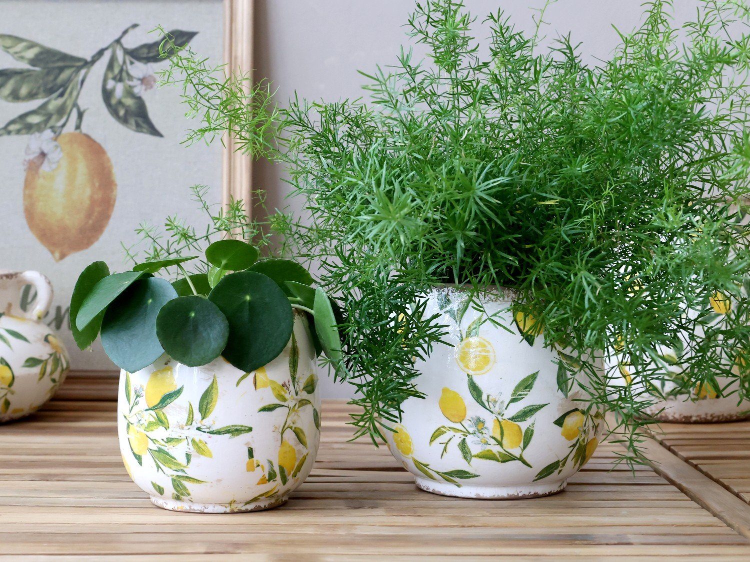 Chic Antique Übertopf Chic Antique * günstig online kaufen