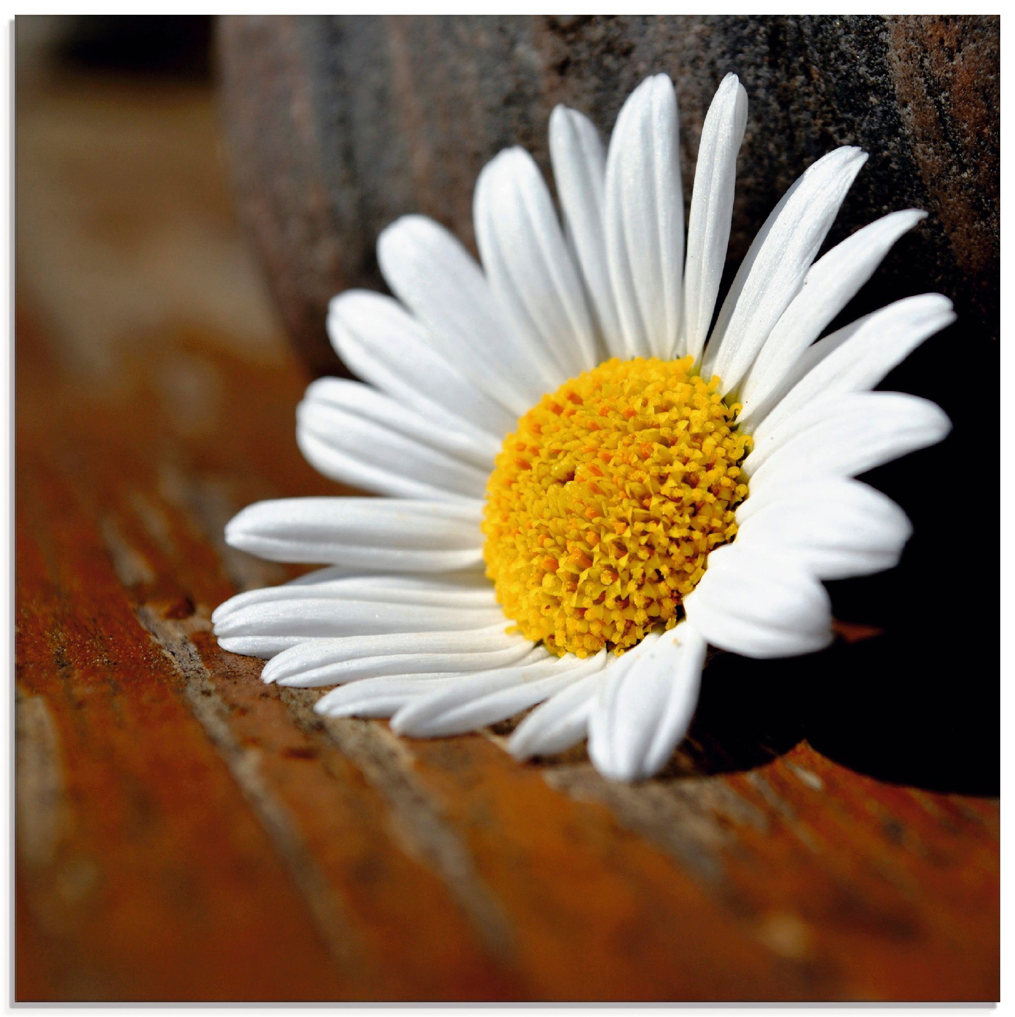 Artland Stillleben, (1 Größen Glasbild verschiedenen in St), Margeriten Blumen