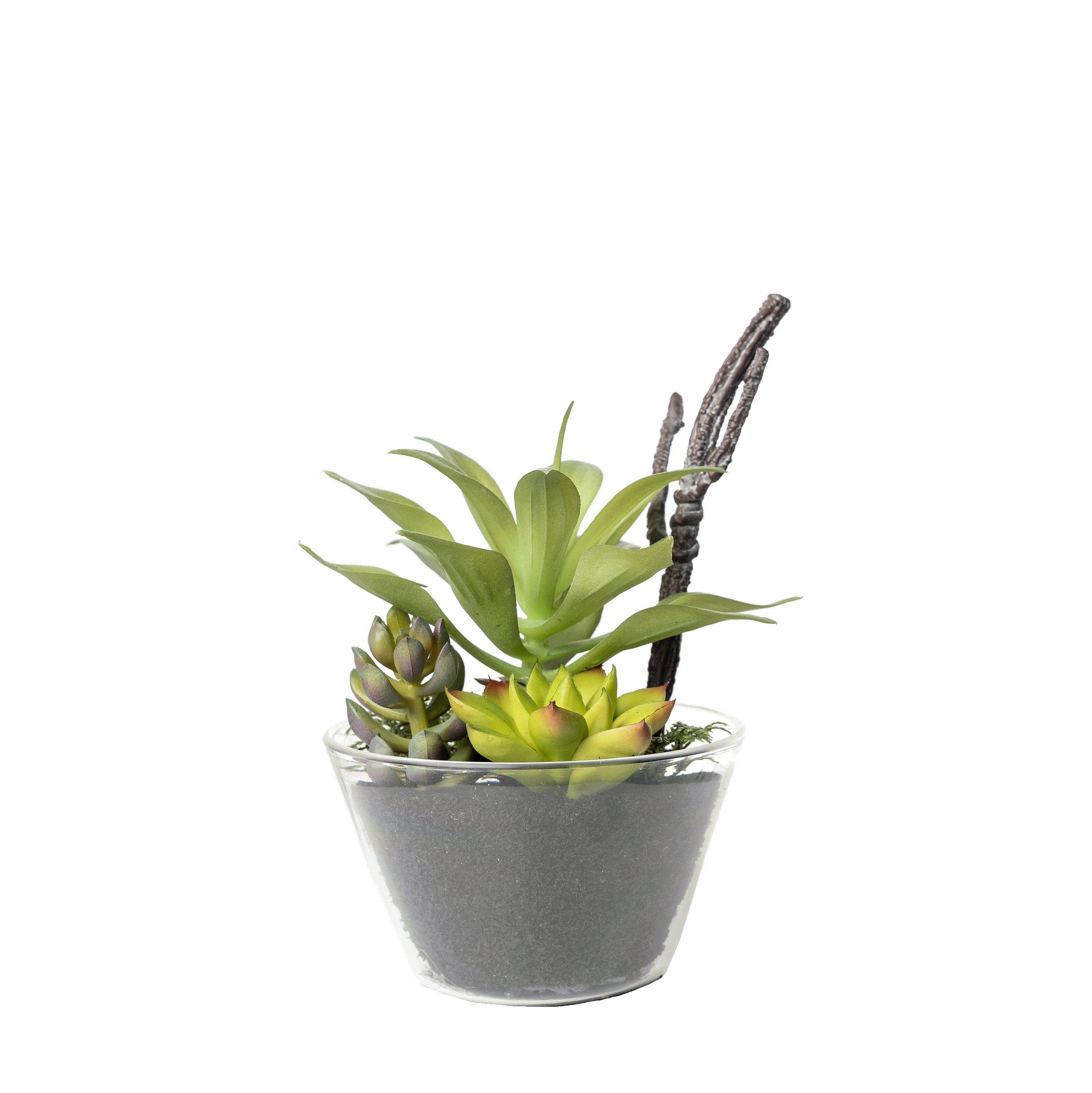 Draht, 13 Depot, 13 cm, Zentimeter Polyethylen, Sukkulenten-Mix Kunstpflanze Kunstpflanze Sukkulente, Glasgefäß H PU-Schaum, aus im Höhe