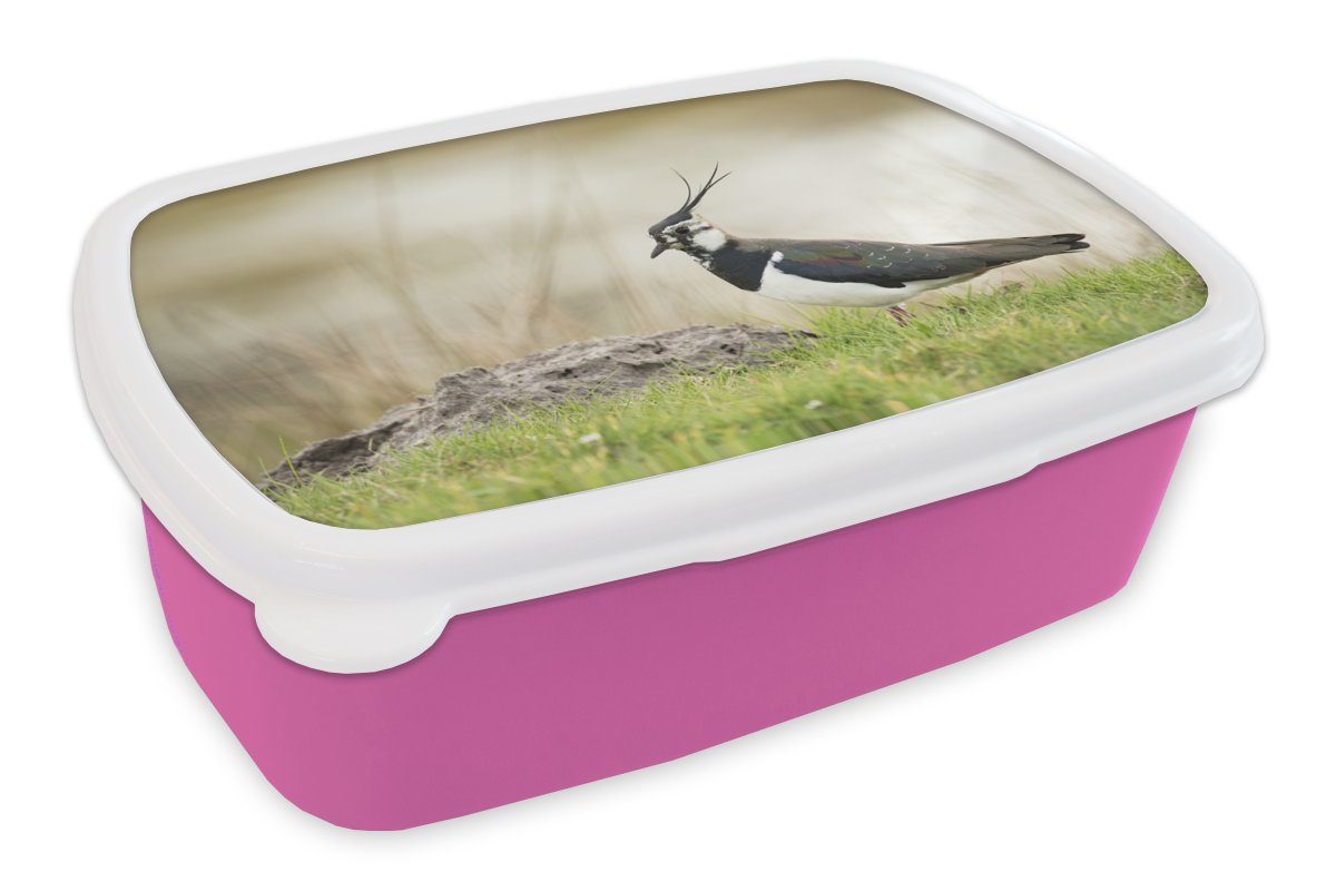 MuchoWow Lunchbox Vogel - Gras - Tiere - Natur - Kiebitz, Kunststoff, (2-tlg), Brotbox für Erwachsene, Brotdose Kinder, Snackbox, Mädchen, Kunststoff rosa