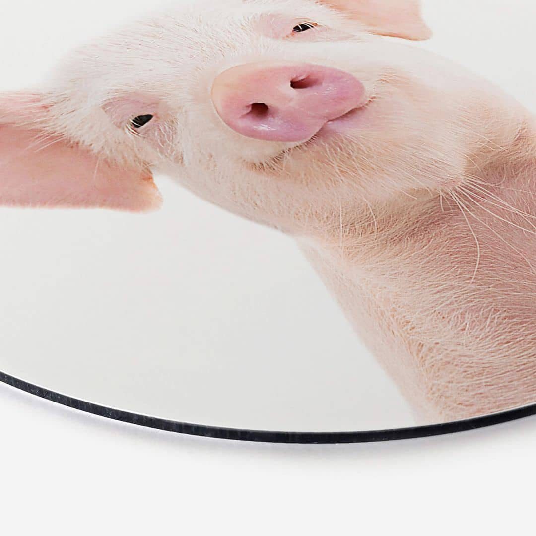 K&L Wall Art Alu-Dibond-Druck Metallposter Kinderzimmer Ferkel Baby Schwein Bauernhof Tiere, Metalloptik Wandbild Ø 30cm