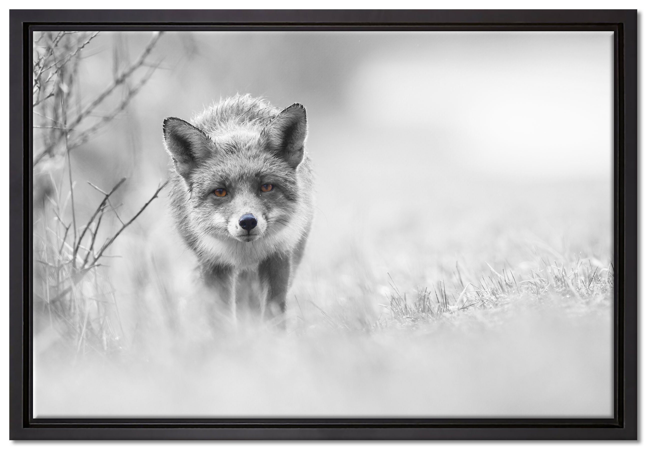 Pixxprint Leinwandbild hübscher schleichender Fuchs, Wanddekoration (1 St), Leinwandbild fertig bespannt, in einem Schattenfugen-Bilderrahmen gefasst, inkl. Zackenaufhänger