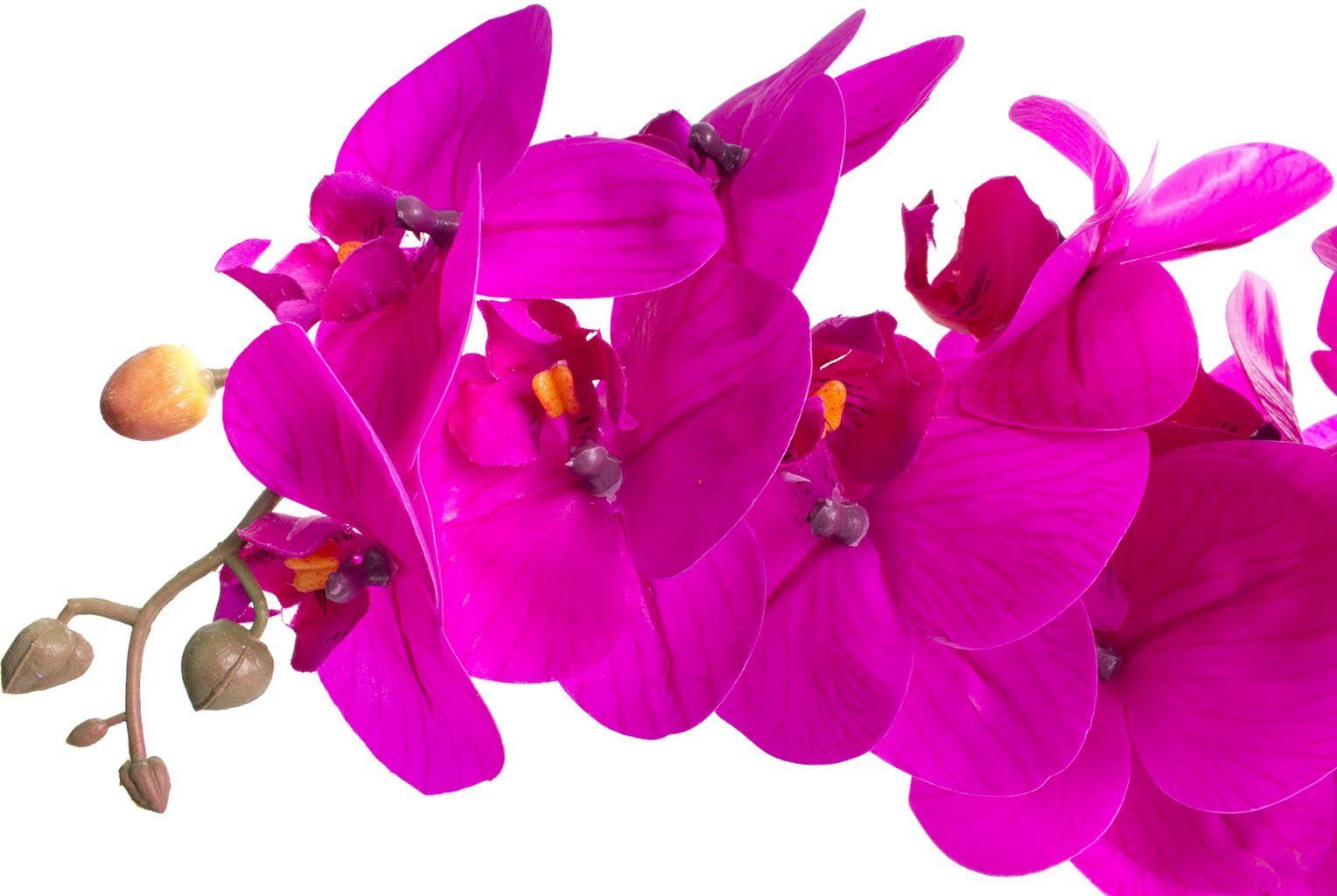 Kunstorchidee 60 Höhe Orchidee Orchidee, Bora cm Botanic-Haus,