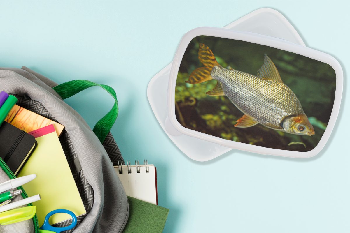 MuchoWow Lunchbox Fisch - Wasser Erwachsene, und für für - weiß Mädchen Kinder Kunststoff, und (2-tlg), Brotbox Pflanze, Jungs Brotdose