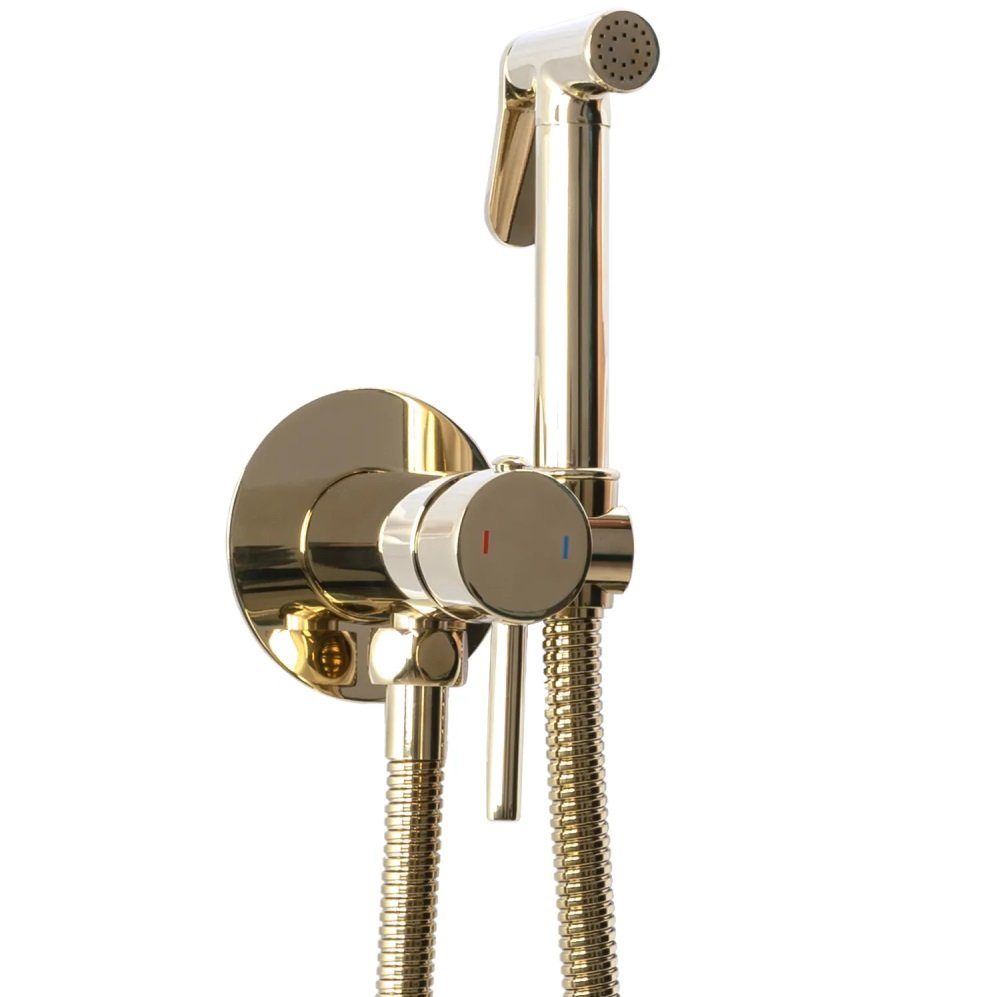 wohnwerk.idee Bidetarmatur Bidet Intimdusche Gold Matt günstig online kaufen