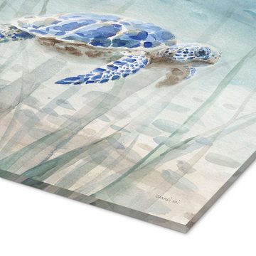 Posterlounge Acrylglasbild Danhui Nai, Meeresschildkröte in Aquarell, Malerei