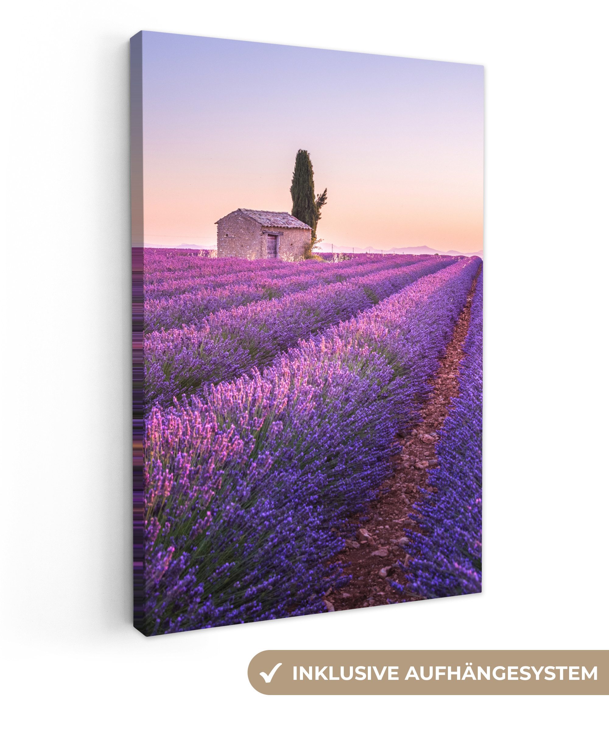 OneMillionCanvasses® Leinwandbild Lavendel - Sonnenuntergang - günstig online kaufen