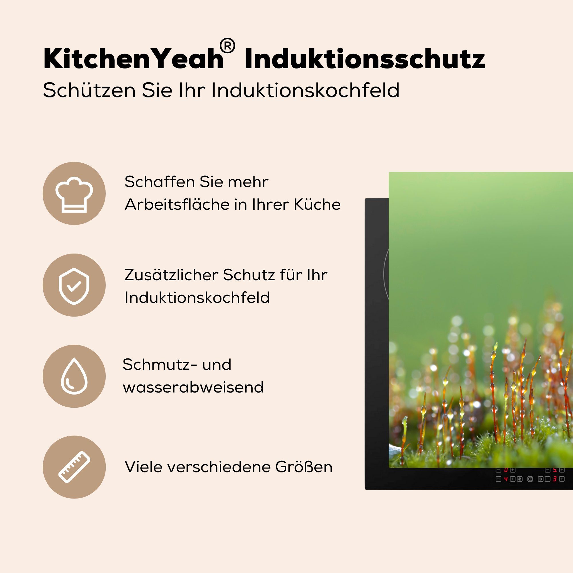 MuchoWow cm, (1 Vinyl, küche, Herdblende-/Abdeckplatte die Herbst 81x52 Schutz Pilz für Ceranfeldabdeckung Marienkäfer, tlg), - - Induktionskochfeld