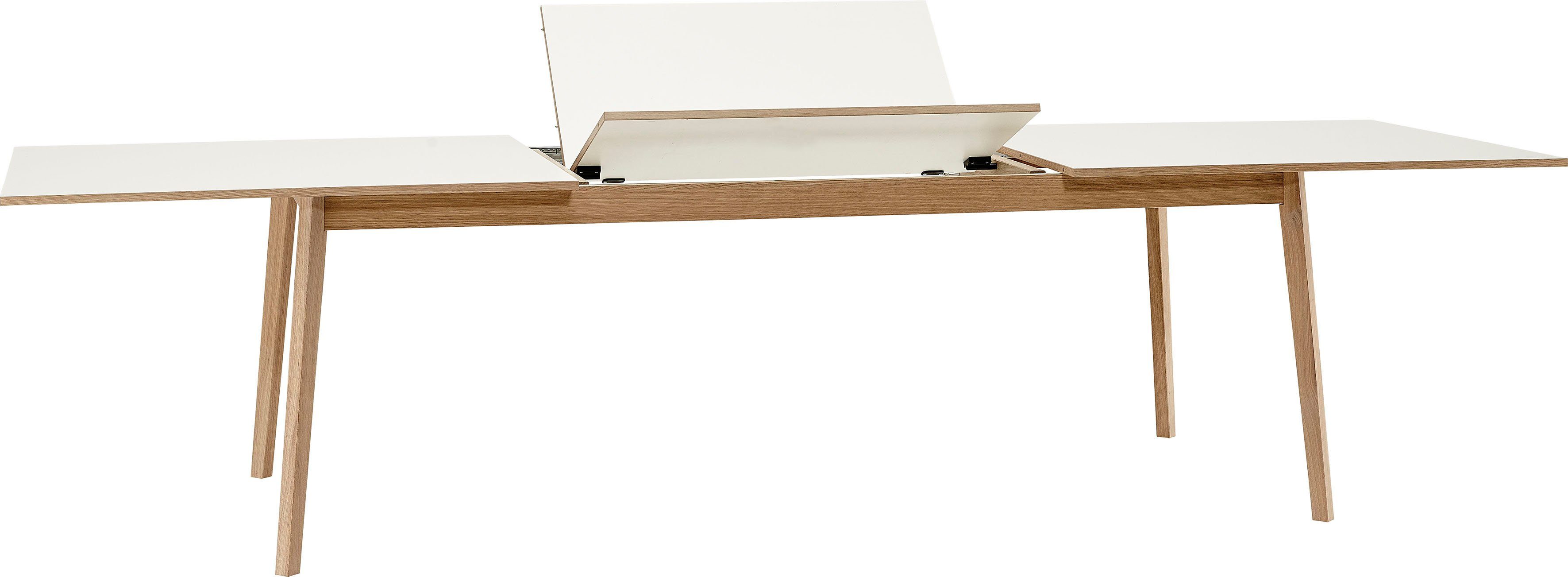 Basic Eiche Avion, 220(310)x100 Hammel Gestell Tischplatte Melamin Furniture Hammel aus Esstisch by in cm, und