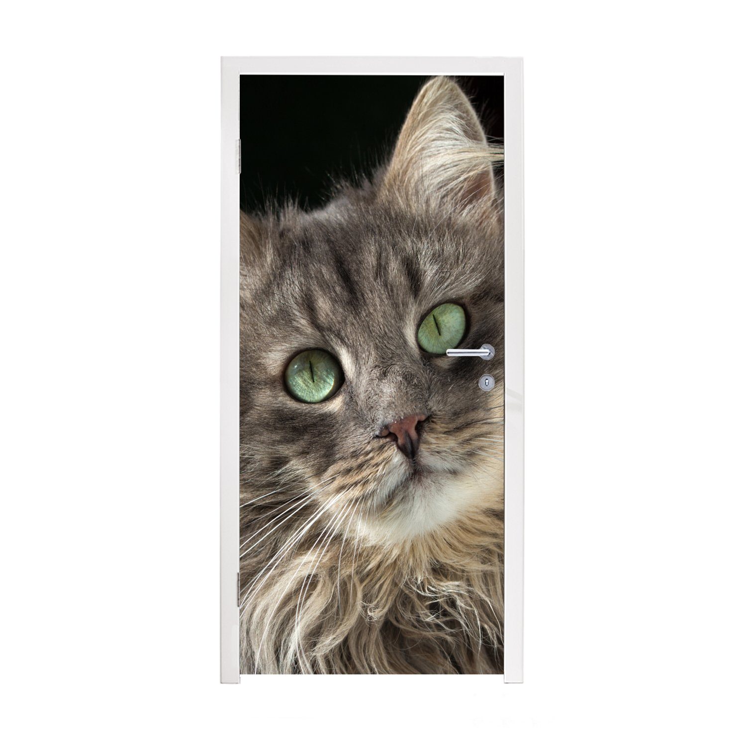 MuchoWow Türtapete Katze mit grünen Augen, Matt, bedruckt, (1 St), Fototapete für Tür, Türaufkleber, 75x205 cm