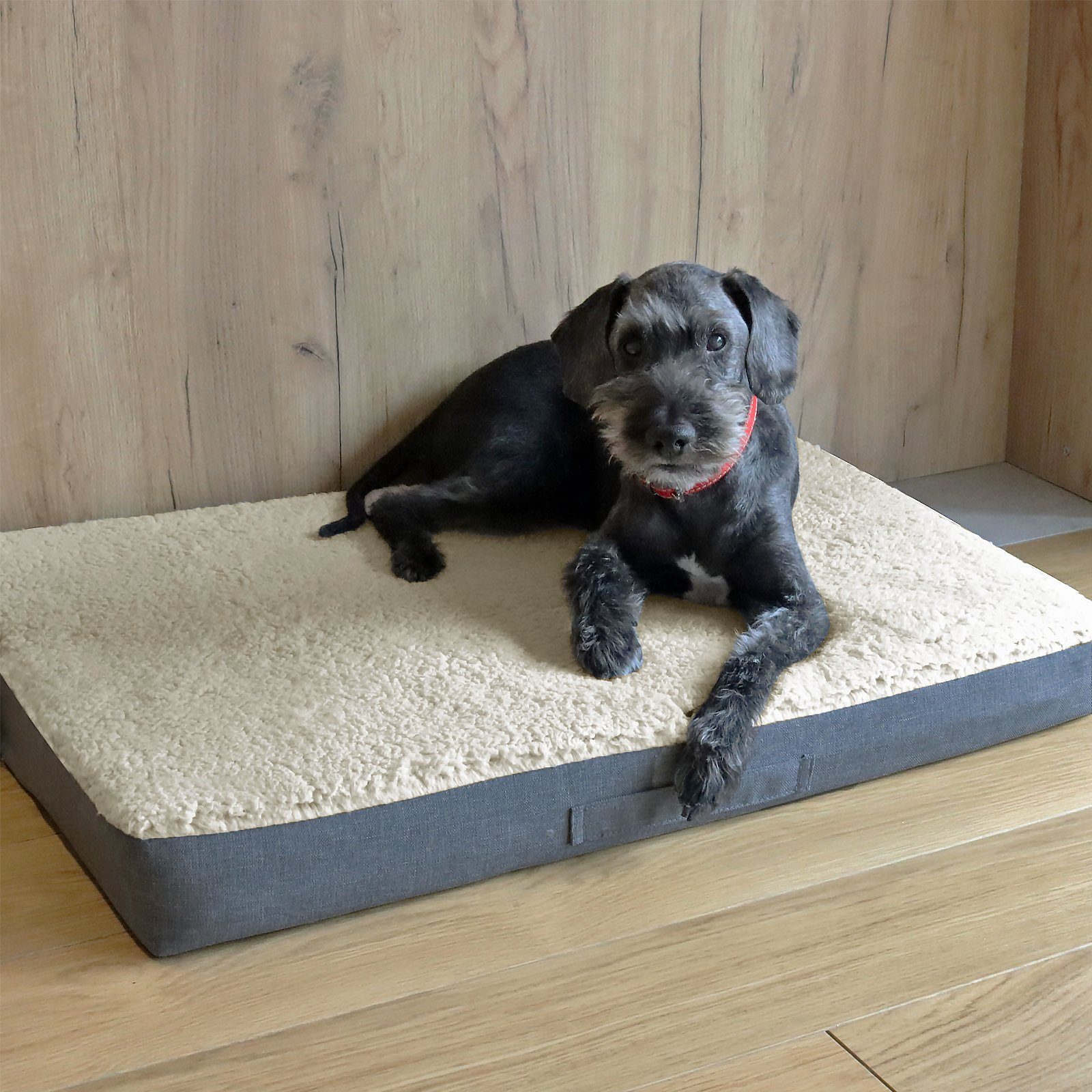 Mr. Cuddles Hundematte BOBBY, Rand: 100% Olefin, Liegefläche: 100% Polyeste günstig online kaufen