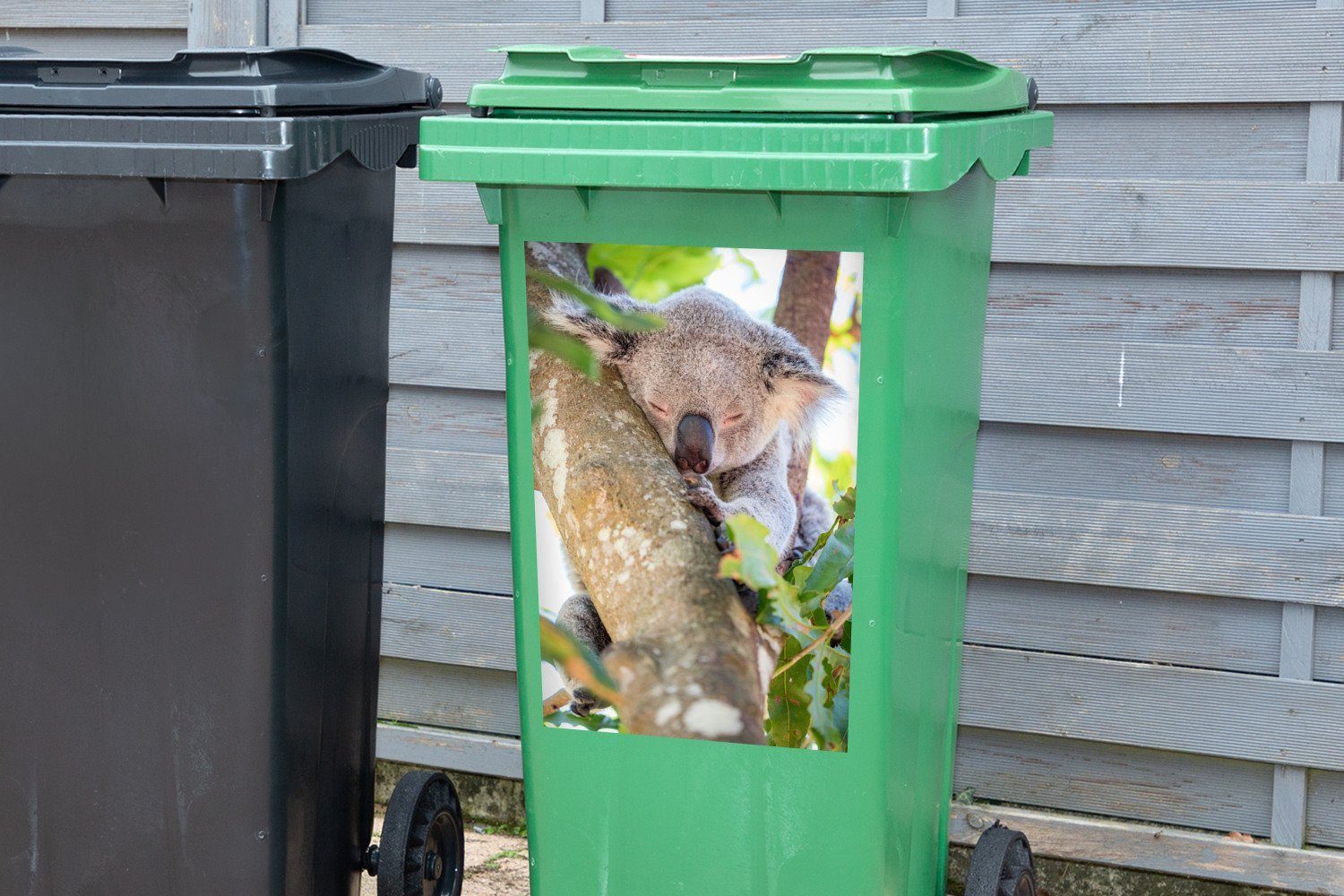 Mülleimer-aufkleber, St), Abfalbehälter Koala (1 - Mülltonne, MuchoWow Baum Sticker, - Container, Blätter Wandsticker