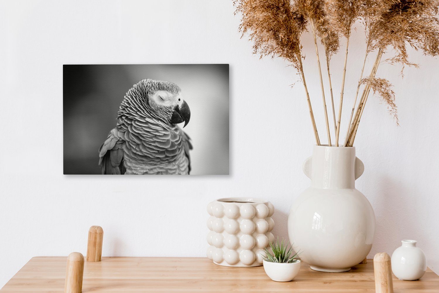 -, (1 oder Nahaufnahme Papageis Leinwandbilder, St), Wandbild Aufhängefertig, 30x20 eines OneMillionCanvasses® Leinwandbild cm Wanddeko, Gartenrotschwanzes schlafenden