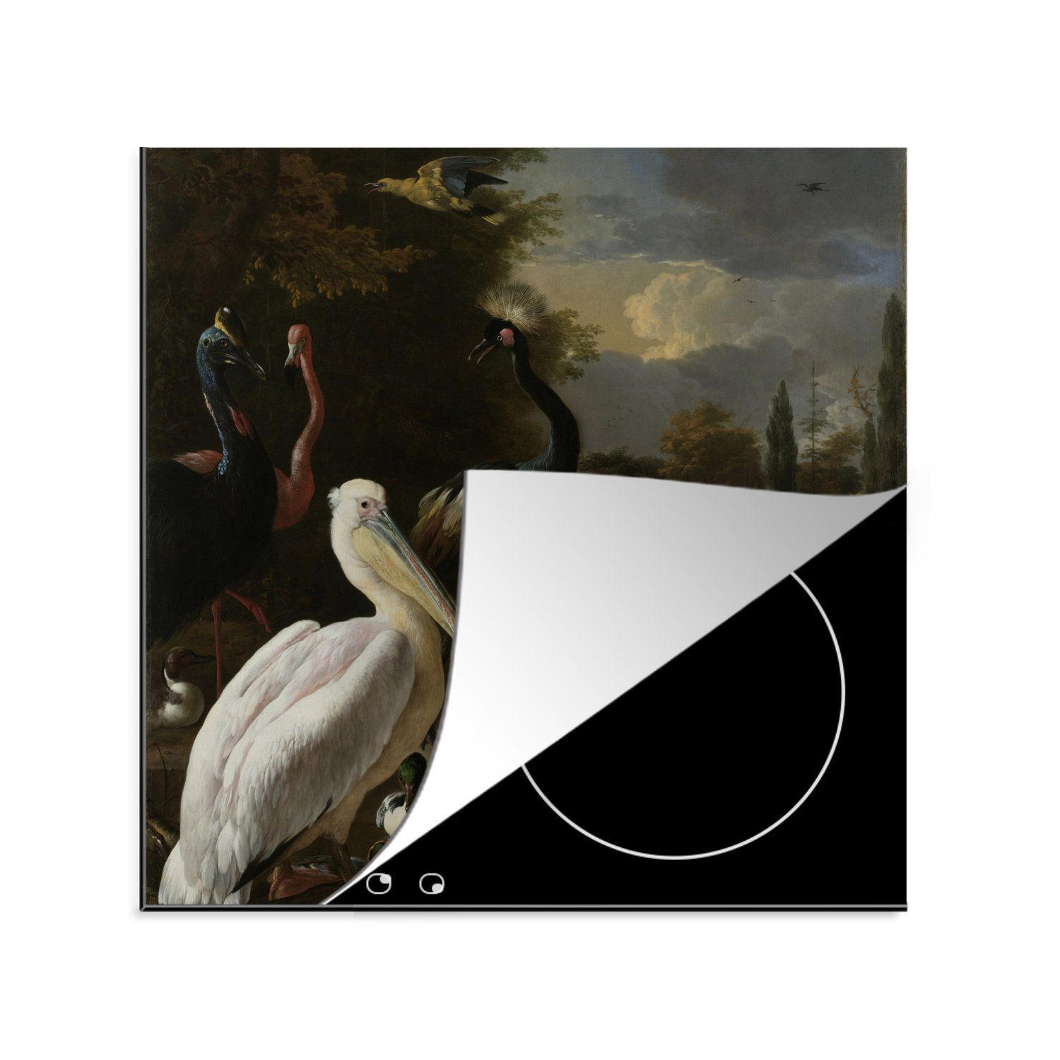 MuchoWow Herdblende-/Abdeckplatte Ein Pelikan und andere Vögel in der Nähe eines Wasserbeckens -, Vinyl, (1 tlg), 78x78 cm, Ceranfeldabdeckung, Arbeitsplatte für küche