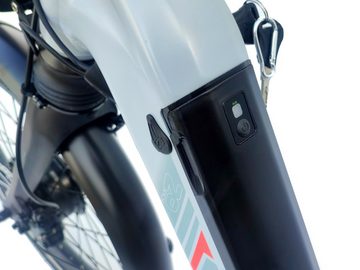 Ecofold E-Bike 20 Zoll BFF311 E-Bike Frontmotor Shimano Nexus 7Gang Faltrad weiss, 7 Gang Shimano Nexus 7/8 Schaltwerk, Nabenschaltung, Frontmotor, 504,00 Wh Akku, StVo konform
