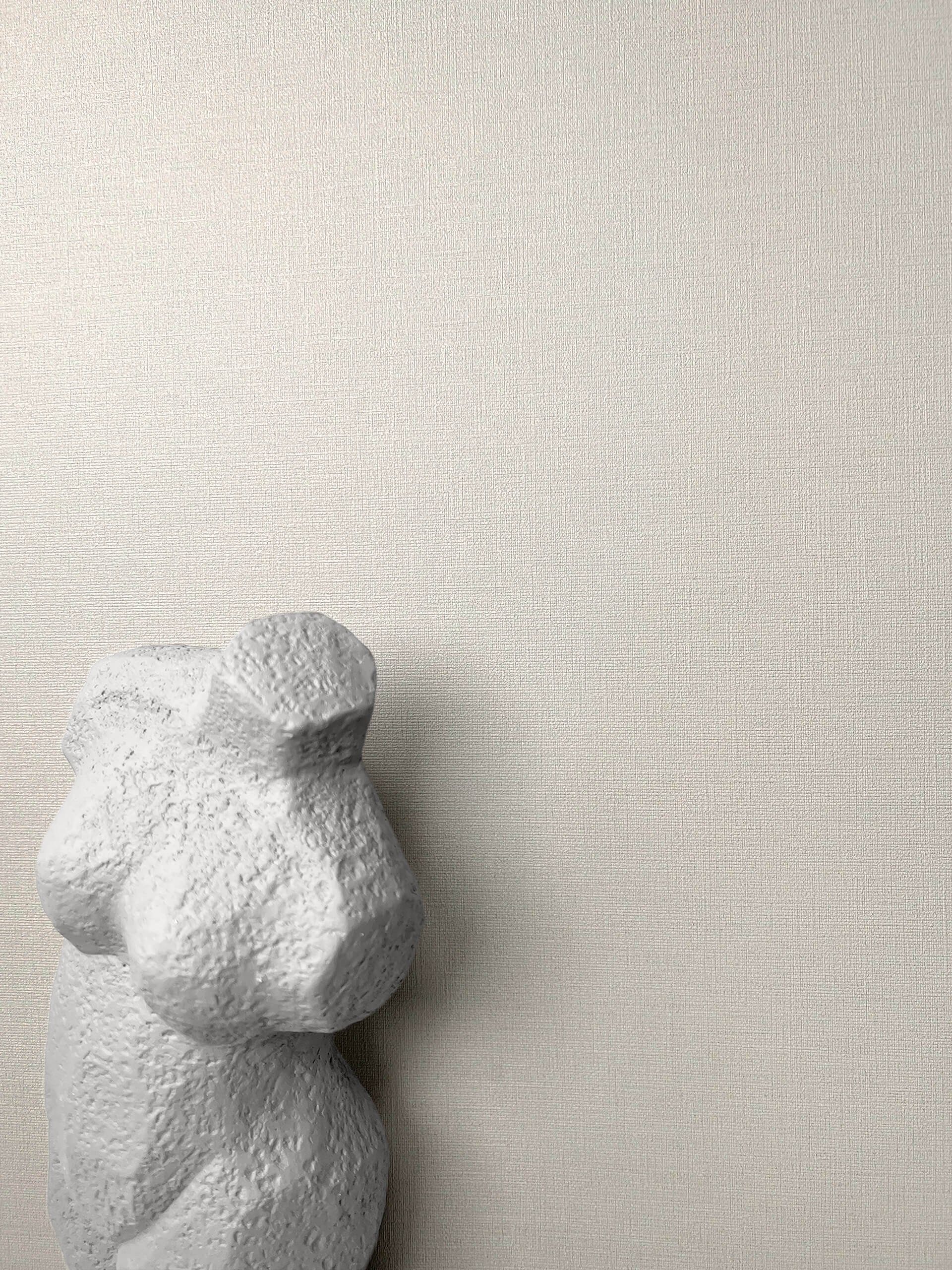 Newroom Vliestapete, Beige Tapete Uni Unifarbe - Unitapete Strukturtapete C günstig online kaufen