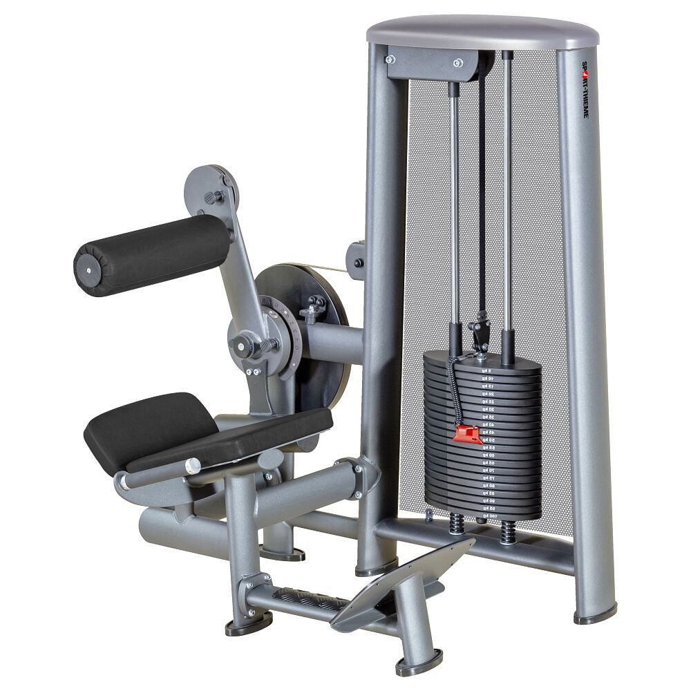 Kraftstation Rückenstreck-Maschine OV