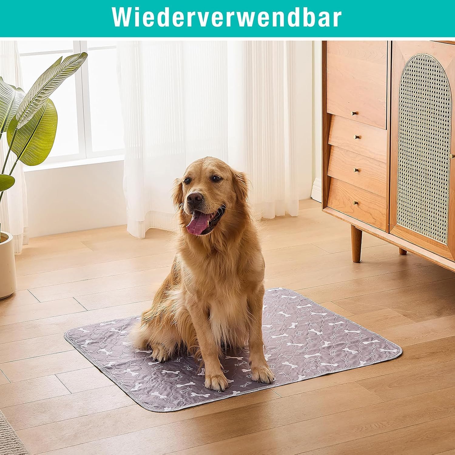 Pisi & Bili Hundematte Welpen Unterlagen, günstig online kaufen