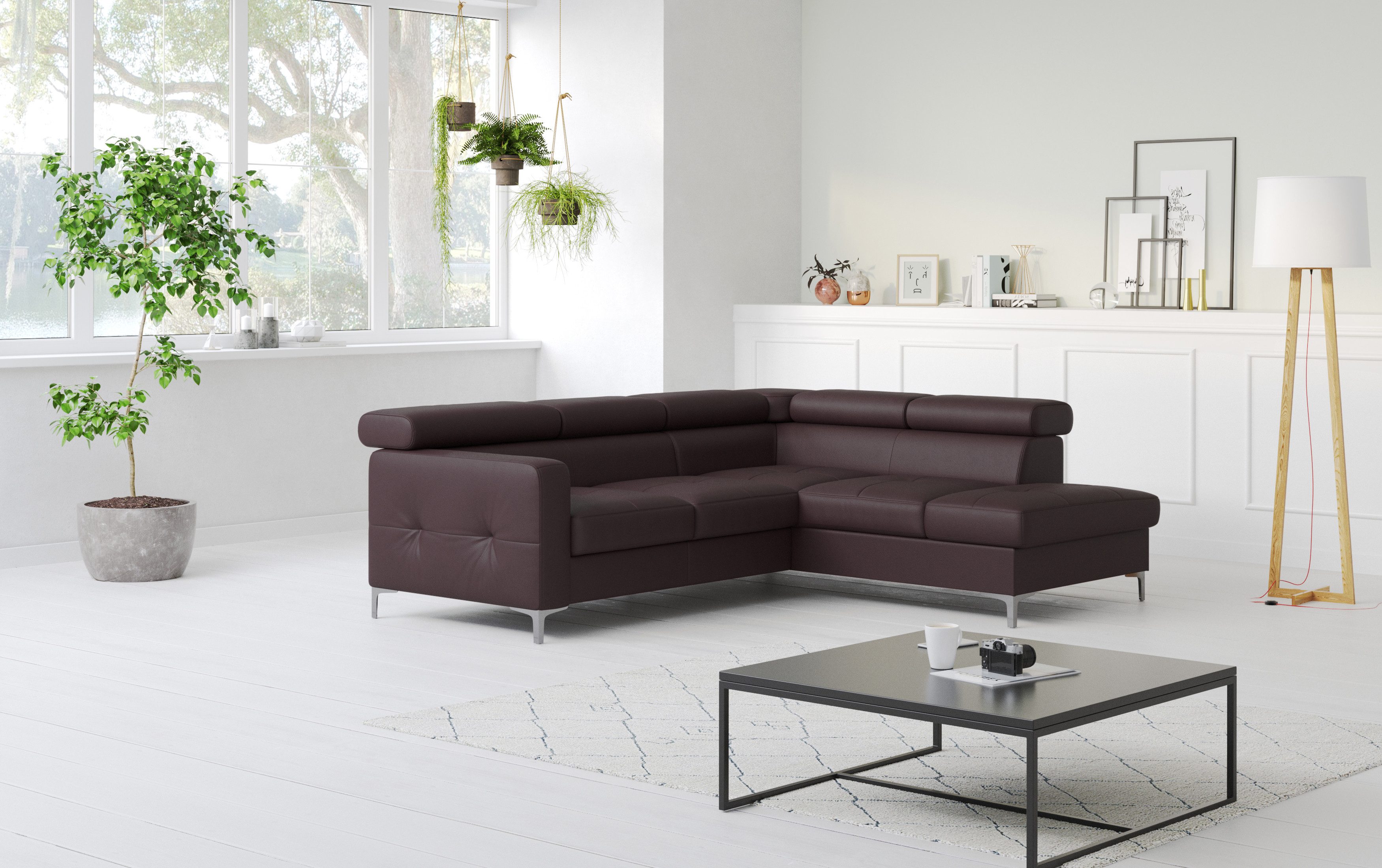 COTTA Ecksofa Sammy Echtleder, Echtleder mit Schlaffunktion und Bettkasten