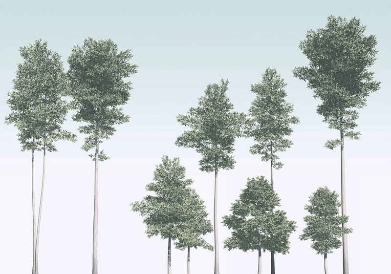 Komar Vliestapete Pines, (1 St), 400x280 cm (Breite x Höhe), Vliestapete, 100 cm Bahnbreite