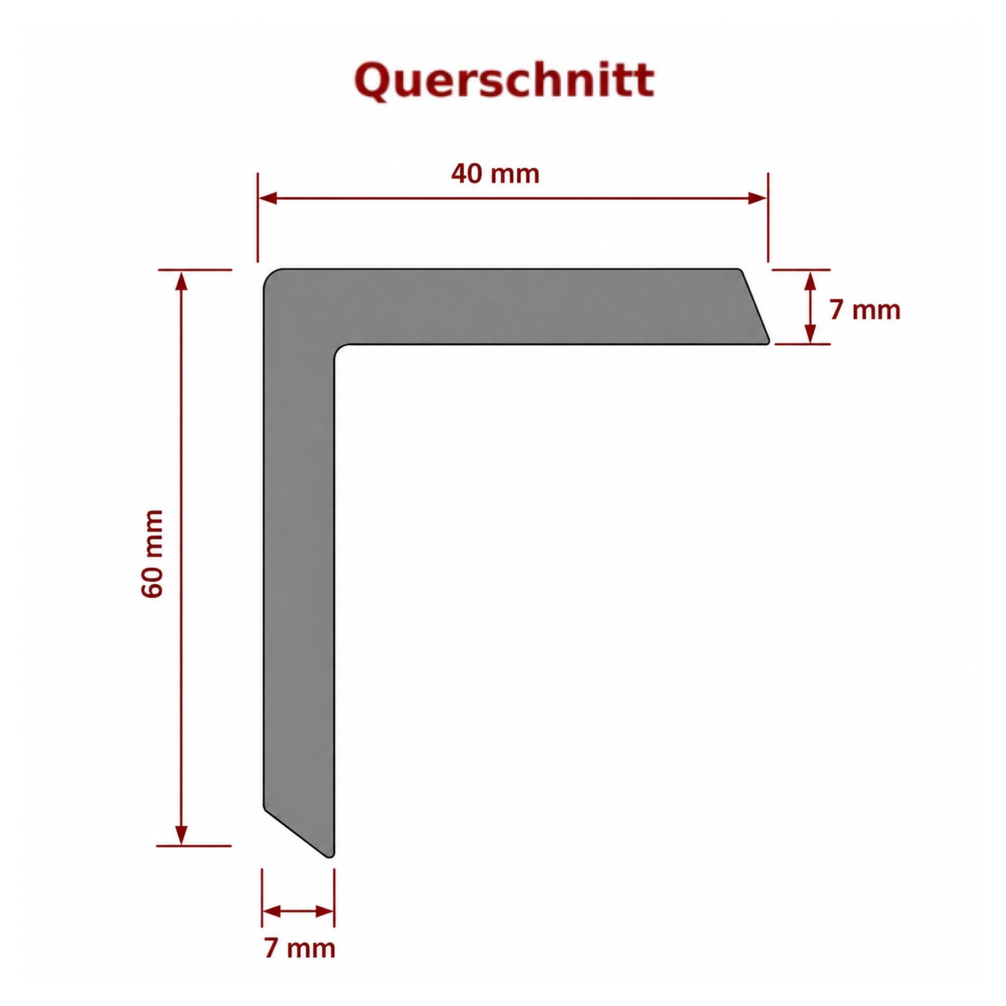 WPC Profi Terrassendielen MUSTER L-Abschlussleiste 15 cm steingrau 60x40 mm, (Abschlussleiste, Musterstück 15 cm)