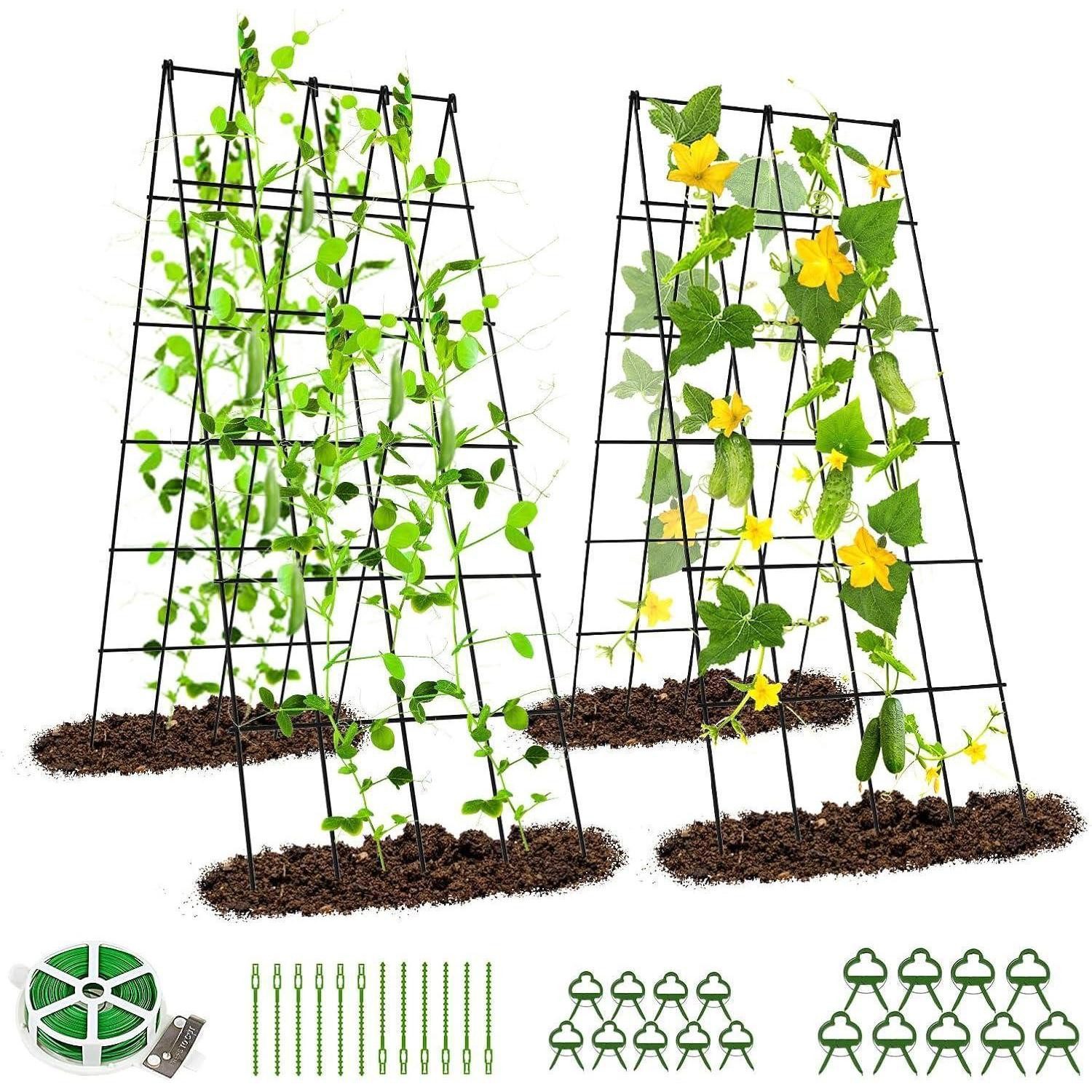 Rankgitter Rankhilfe Metall 2er Set Gurke Tomate Kletterpflanzen Schwarz-Gitter