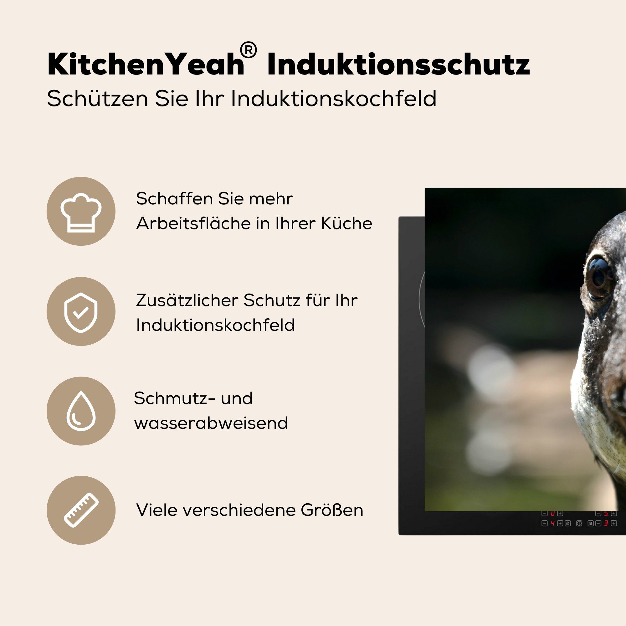 die für küche, Tiere, Ceranfeldabdeckung - 81x52 Vogel Gans Induktionskochfeld Herdblende-/Abdeckplatte tlg), Vinyl, (1 cm, MuchoWow Schutz -