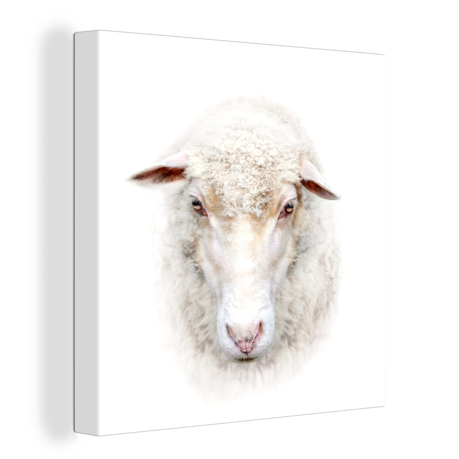 OneMillionCanvasses® Leinwandbild Schafe - Porträt - Wolle, (1 St), Leinwand Bilder für Wohnzimmer Schlafzimmer