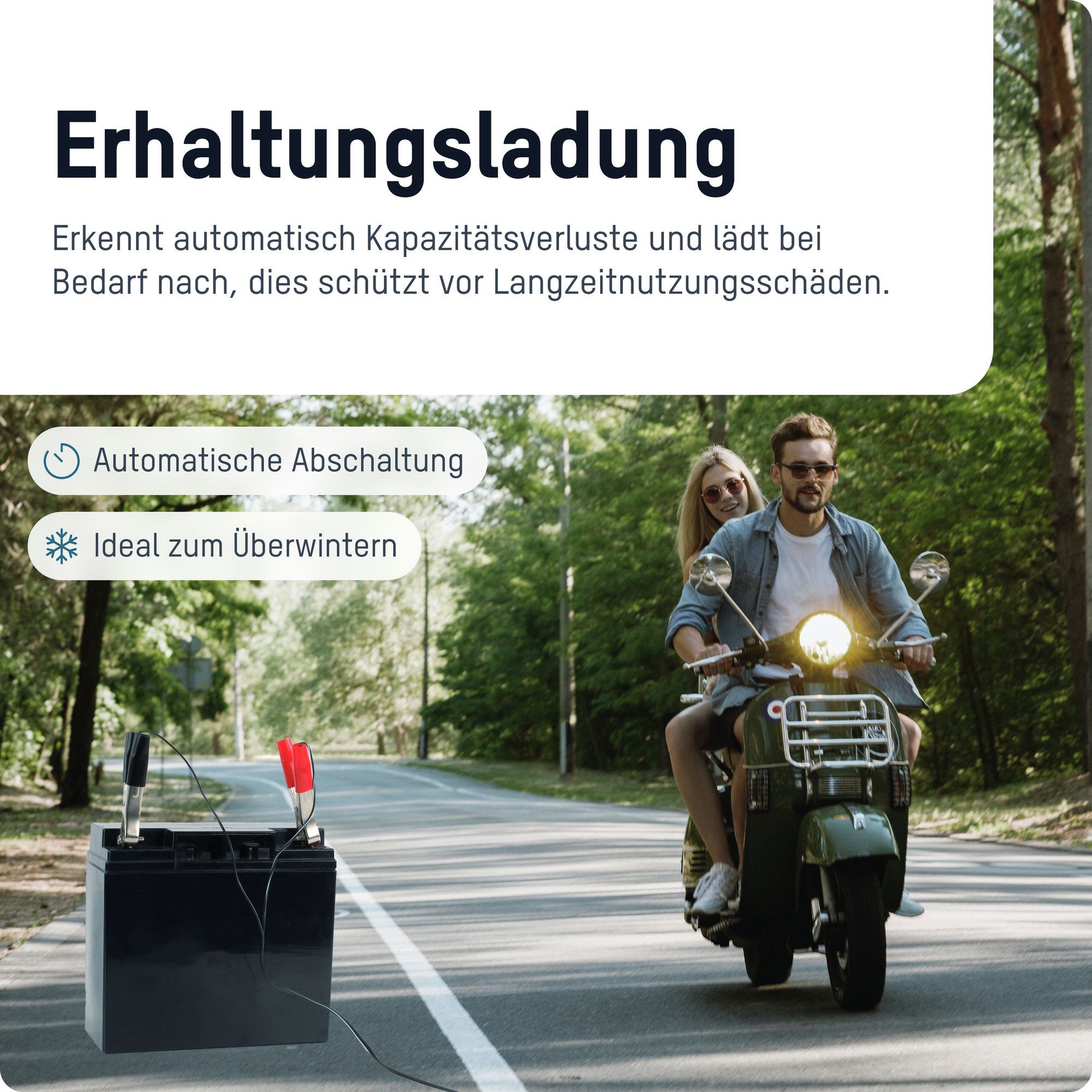 ANSMANN AG KFZ-Ladegerät für 2v/6V/12V Autobatterie Universal-Ladegerät