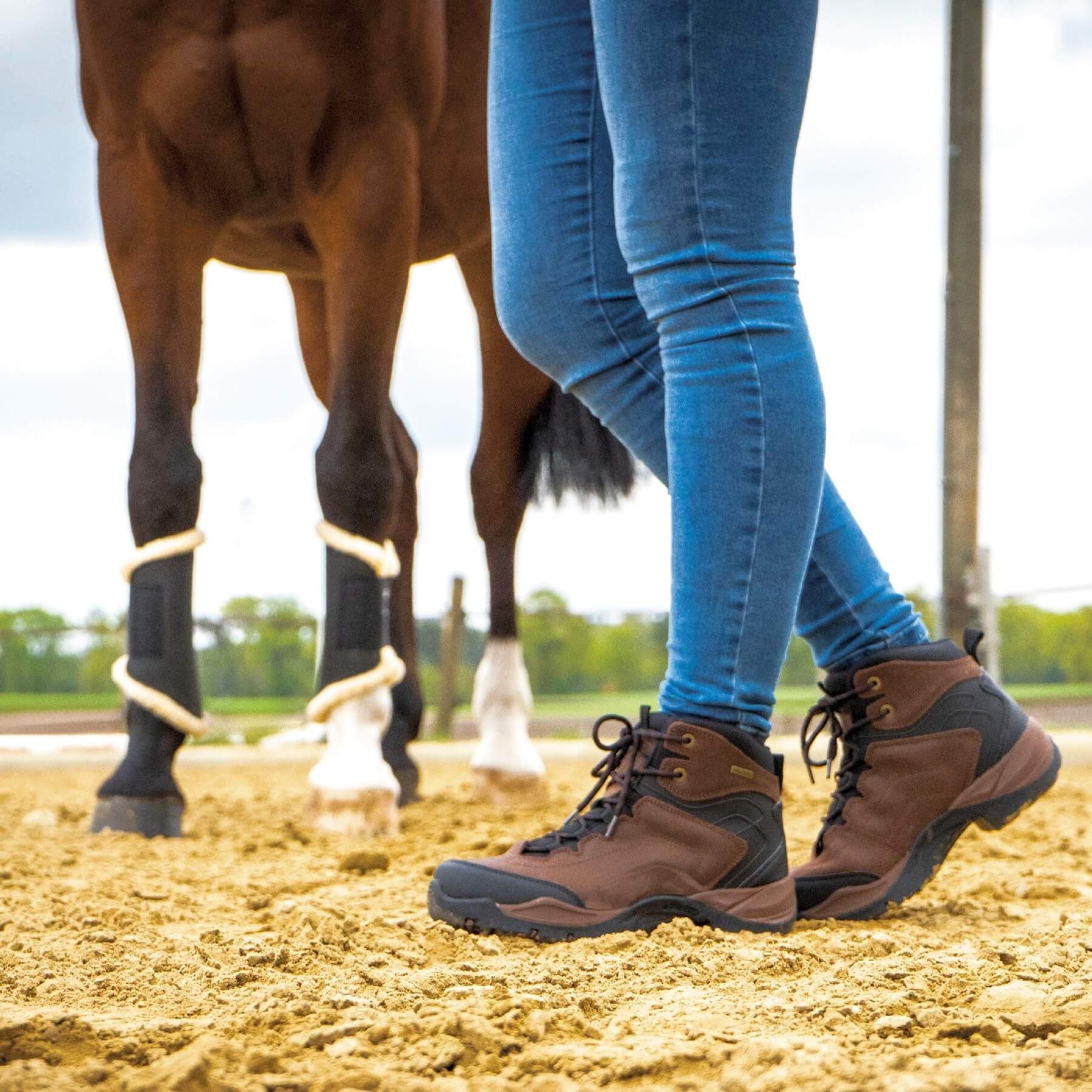 BUSSE BUSSE Reit- und Stallschuh DALLAS Reitstiefel günstig online kaufen