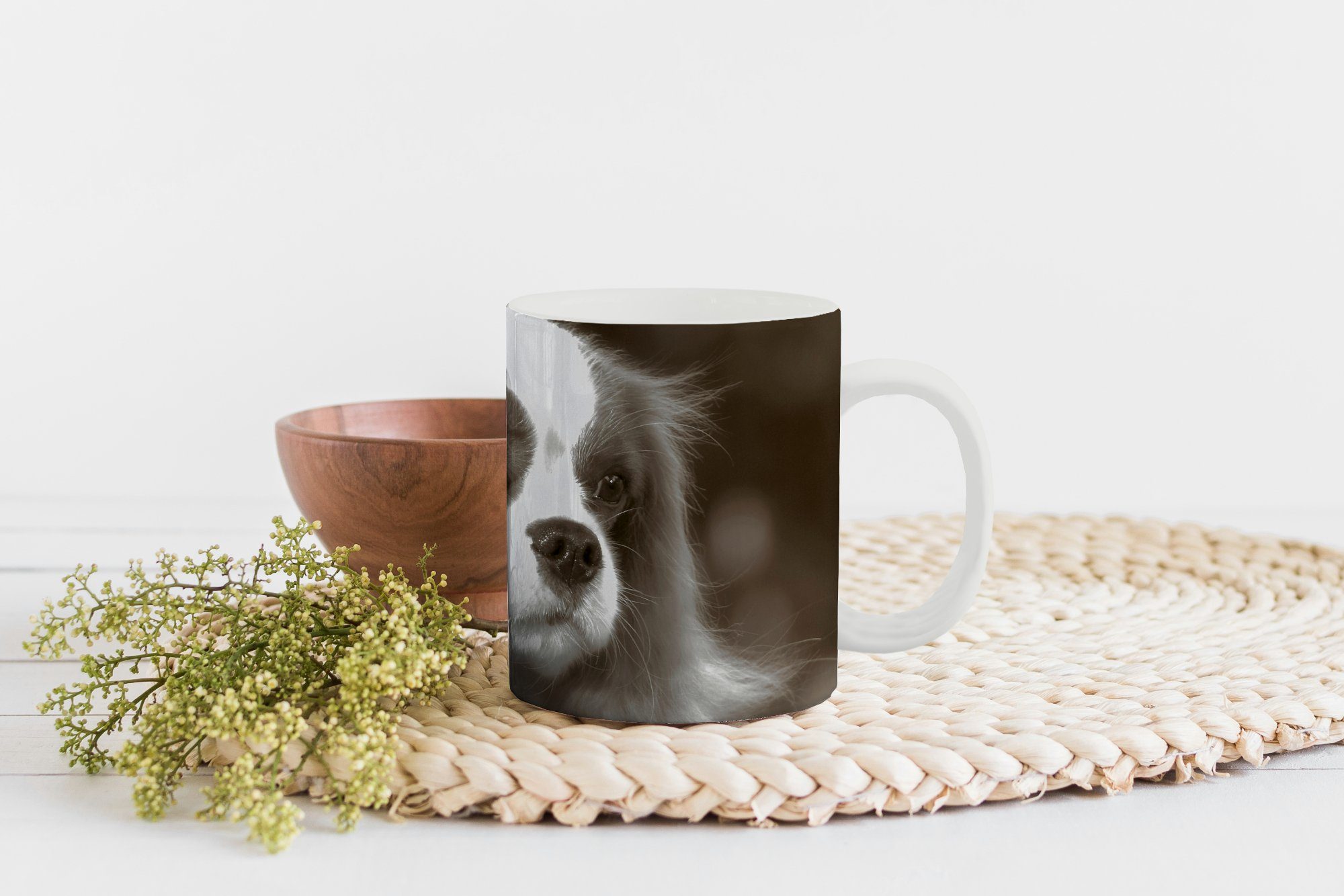 MuchoWow Tasse Schwarz-Weiß-Foto Kaffeetassen, Geschenk Cavalier Charles Teetasse, Becher, eines Keramik, Teetasse, Spaniels, King