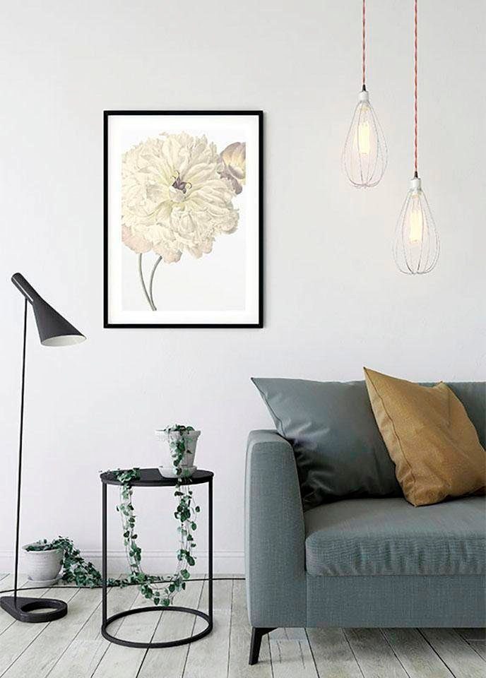 Blumen Komar Schlafzimmer, St), Dahlia, (1 Poster Wohnzimmer Illustration Kinderzimmer,