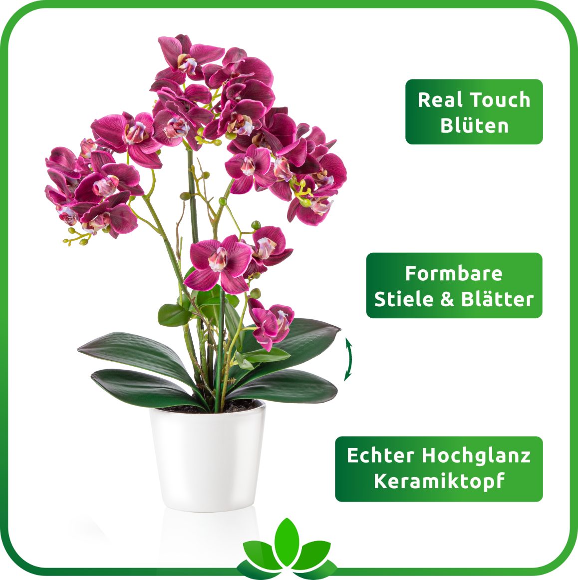 Kunstorchidee PASCH® Orchidee künstlich wie echt (46cm) in Hochglanz-Keramiktopf Orchidee, PASCH, Real Touch – Bild 3 von 5