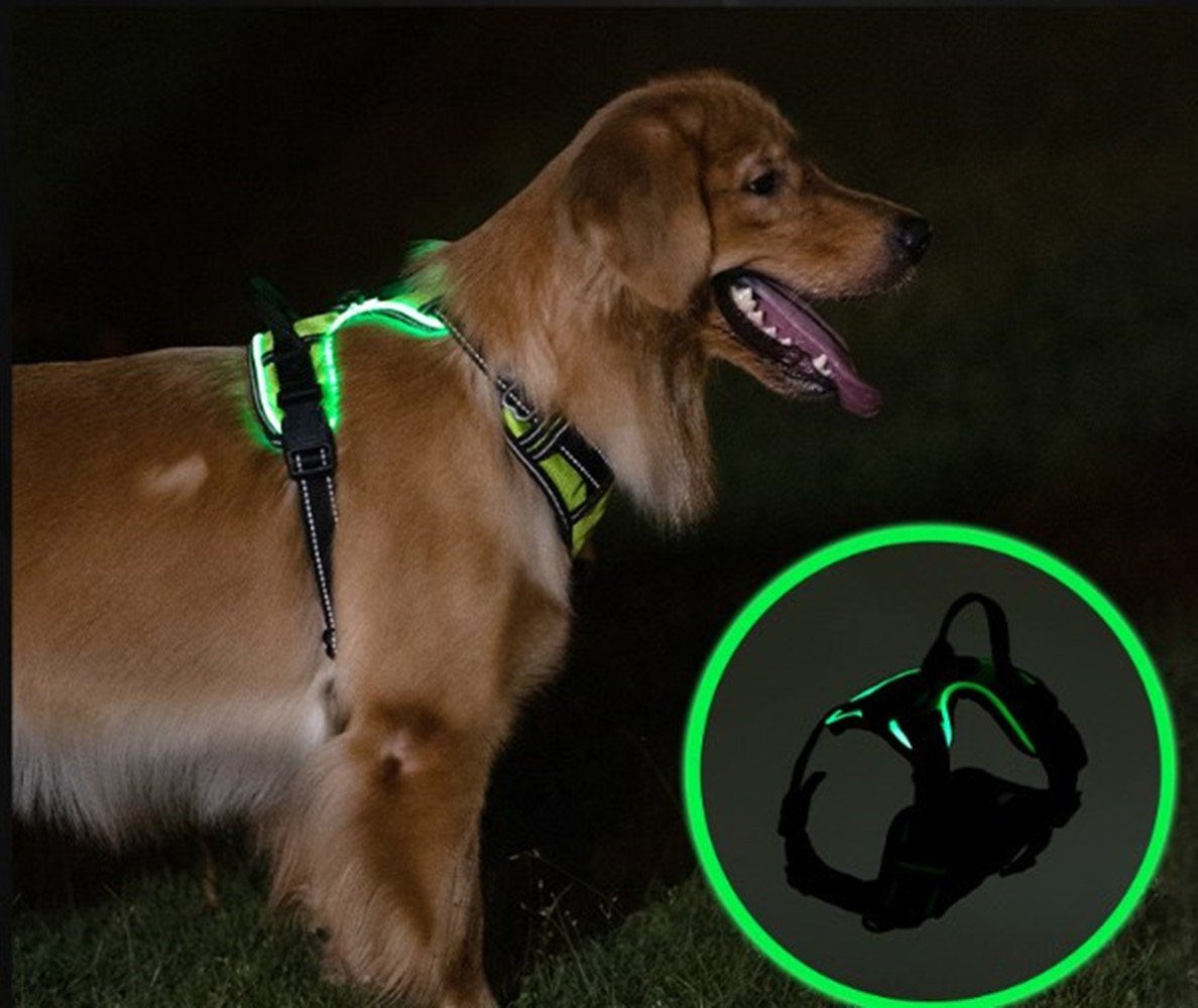 autolock Brustgurt Hundegeschirr Leuchtend Aufladbar, LED Hundegeschirr Verstellbar, Reflektierend, Weich Gepolstert Beleuchtete Brustgeschirr