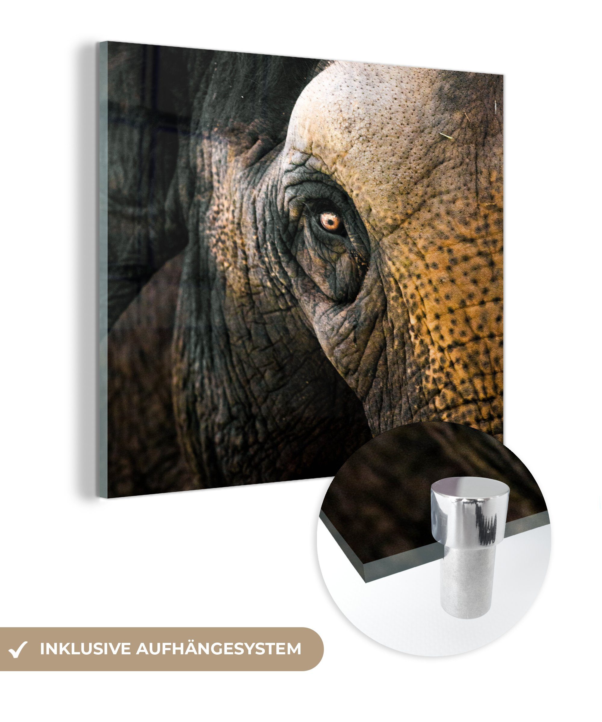 MuchoWow Acrylglasbild Elefant - Nahaufnahme - Tiere - Natur, (1 St), Glasbilder - Bilder auf Glas Wandbild - Foto auf Glas - Wanddekoration