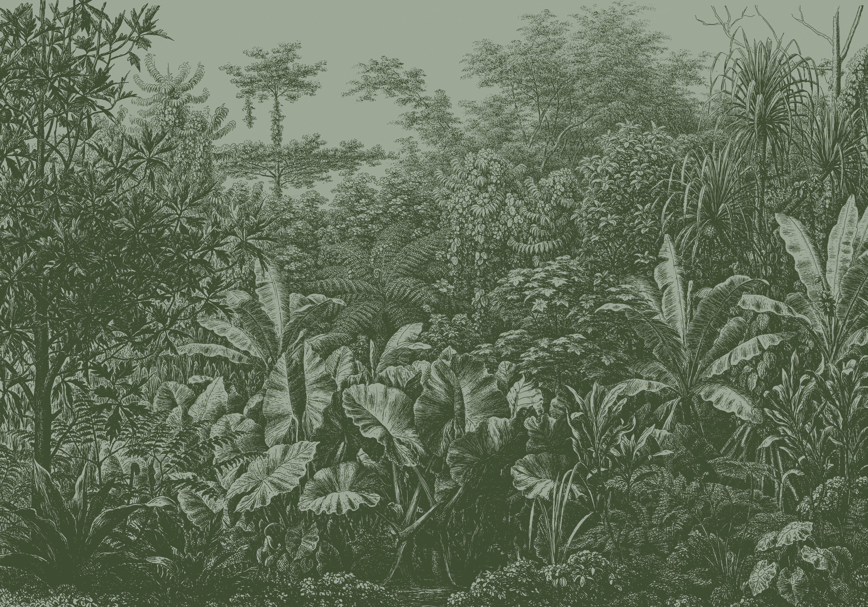 LOOKS by Wolfgang Joop Fototapete Rainforest, texturiert, naturalistisch, (1 St), 350x270cm