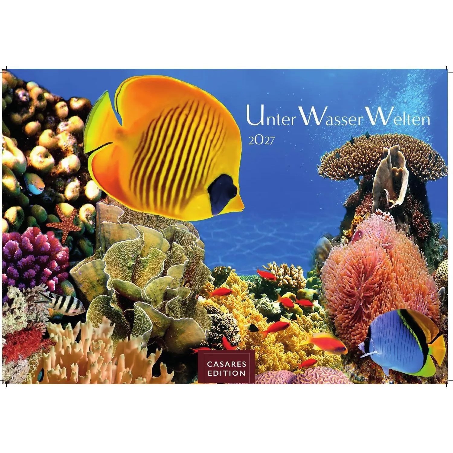 Wandkalender Unterwasserwelten Kalender 2027 - Wandkalender, Fotokalender...