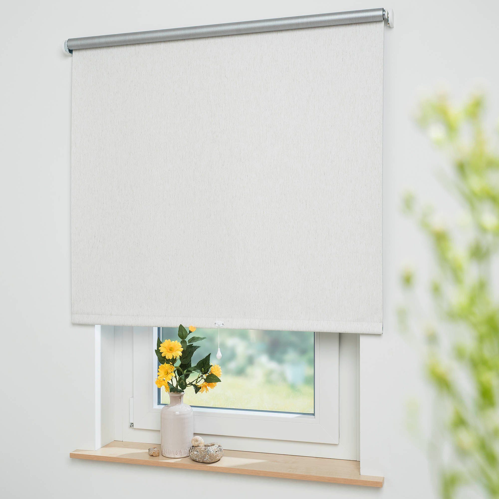 Springrollo Thermo-Rollo, Liedeco, verdunkelnd, freihängend, verschraubt, günstig online kaufen