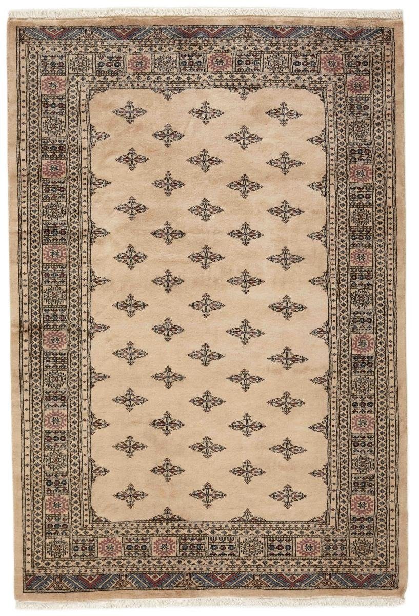 Orientteppich Pakistan Buchara 3ply 167x246 Handgeknüpfter Orientteppich, Nain Trading, rechteckig, Höhe: 8 mm
