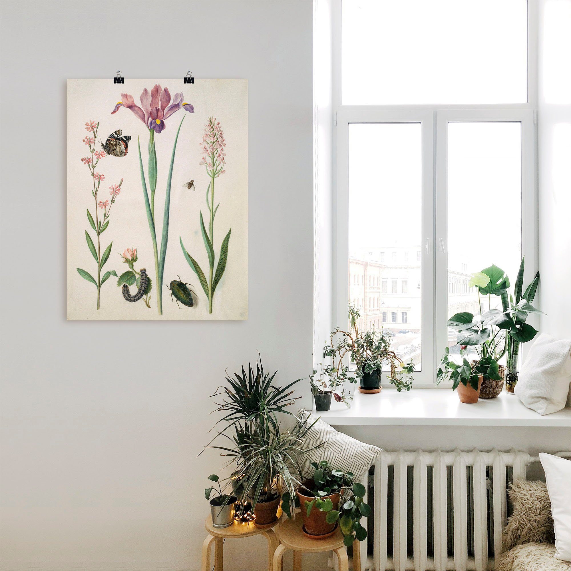 Artland Poster Admiral, Rose Iris Knabenkraut., Pflanzen (1 St), ohne Rahmen